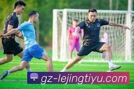 国内车企为何缺席世界杯赞助商行列